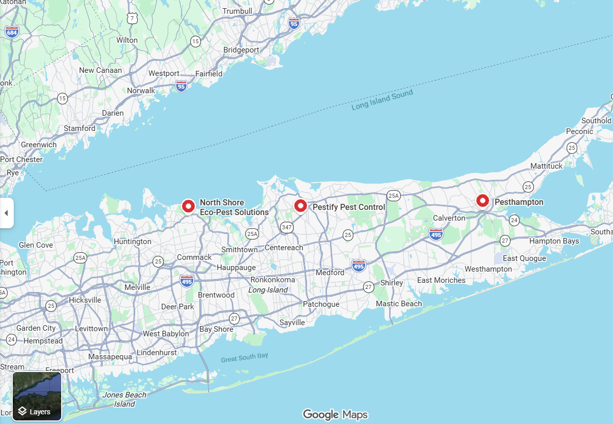 We Tested Google Ask Maps Across 30 Suffolk County Pest Control Searches. Here’s What Changed
